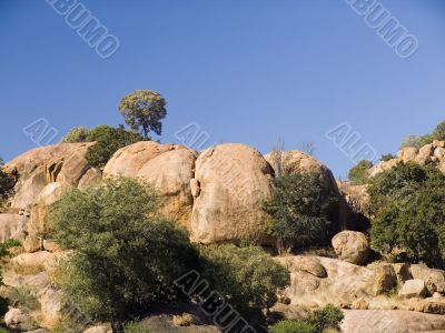 african landscape