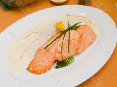 Salmon
