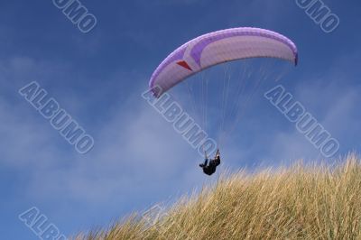 Purple paraglider