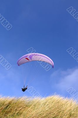 Purple paraglider