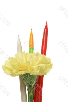 Yellow flower and three pens