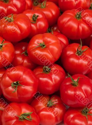 Fresh Tomatoes