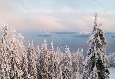 Winter Scenery