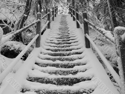 Snowy Stairs