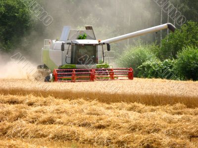 farming