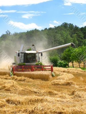 farmer