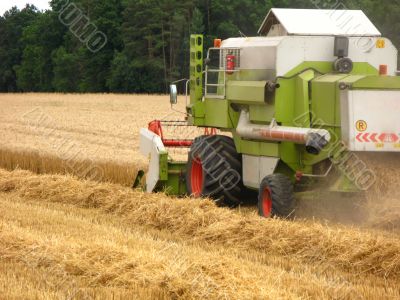harvest