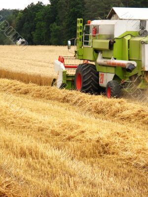 harvesting