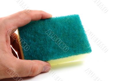 Sponge