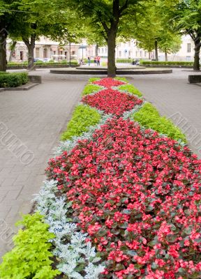 Flower pattern