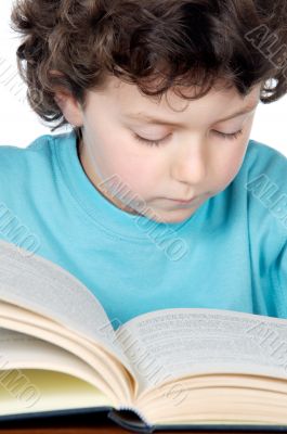 Adorable boy studying