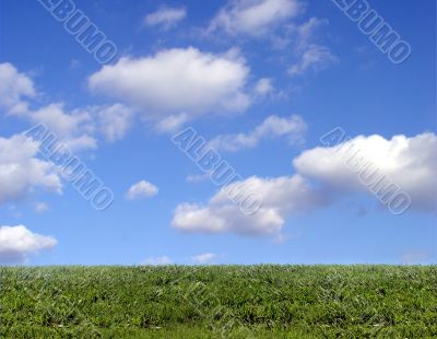Background of sky and grass