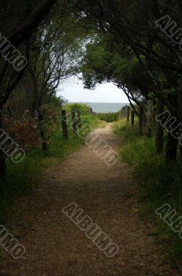 footpath to ocean