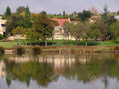 holiday house