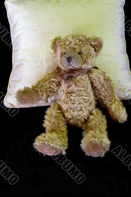 teddy bear