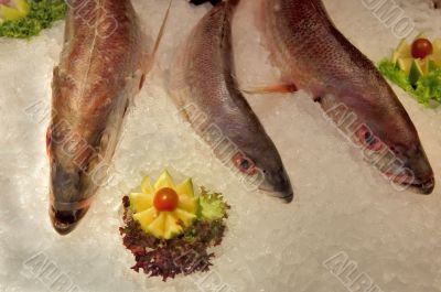 fish market