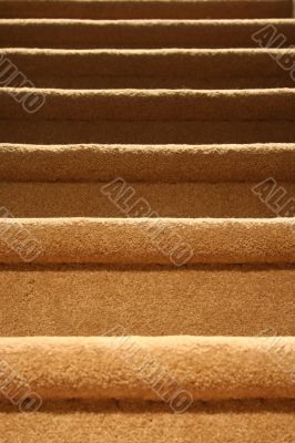 Carpeted staircase