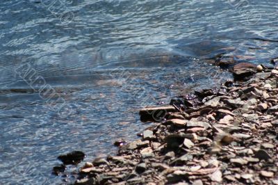 River Bank