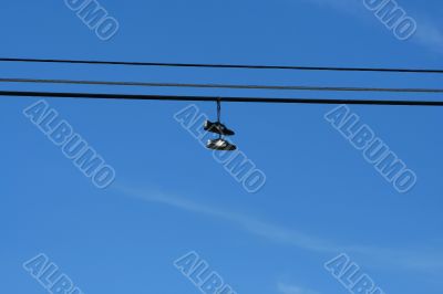 Hanging Seakers
