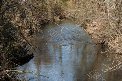 The Stream
