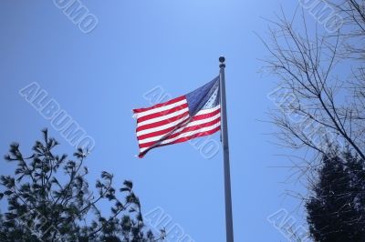 Waving US Flag