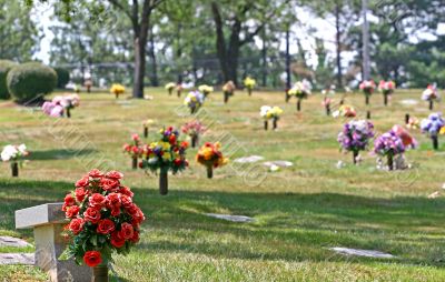 Flowers for the Dead