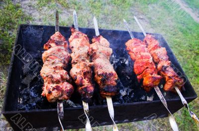 Shish Kabob