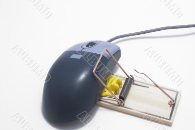 Trapped Computer Mouse
