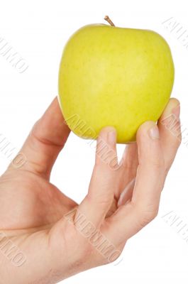 Apple in a hand