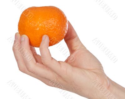 orange in a hand