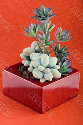 Decorative flower