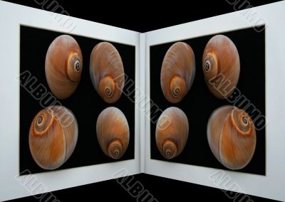 3D Shells