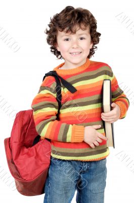 Adorable child studying
