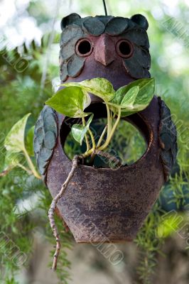 garden decoration