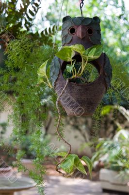 garden decoration