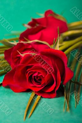 roses