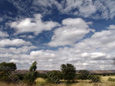 african landscape