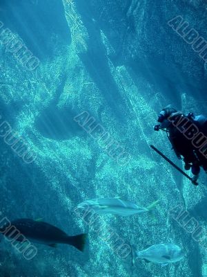 scuba diver