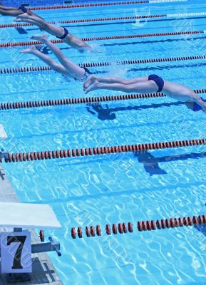 swimmer