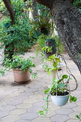 garden decoration