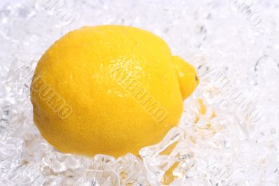 Lemon on Ice