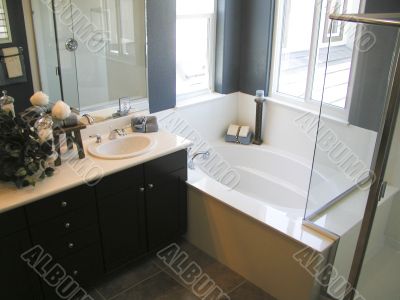 Sinks and Tub
