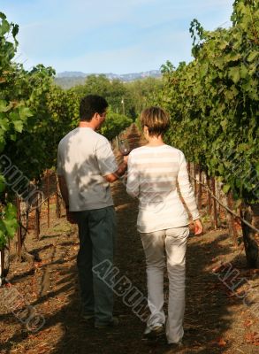 Couple At Vineyard