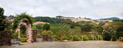 California vineyard