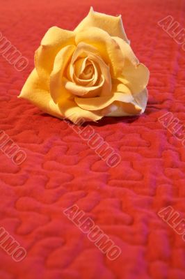 Artificial flower on red background