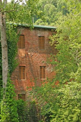 Old Building in Trees