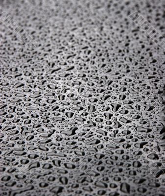 Water Drops on Black