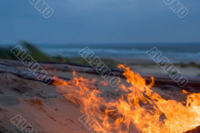 beach campfire