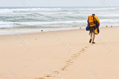 beach traveller
