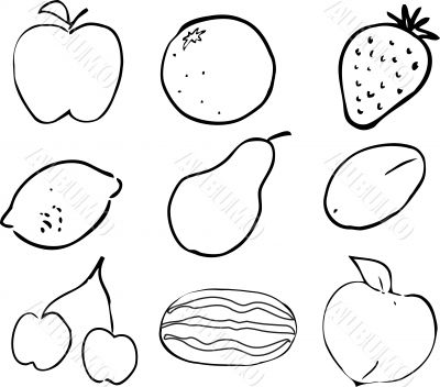 Fruit illustration